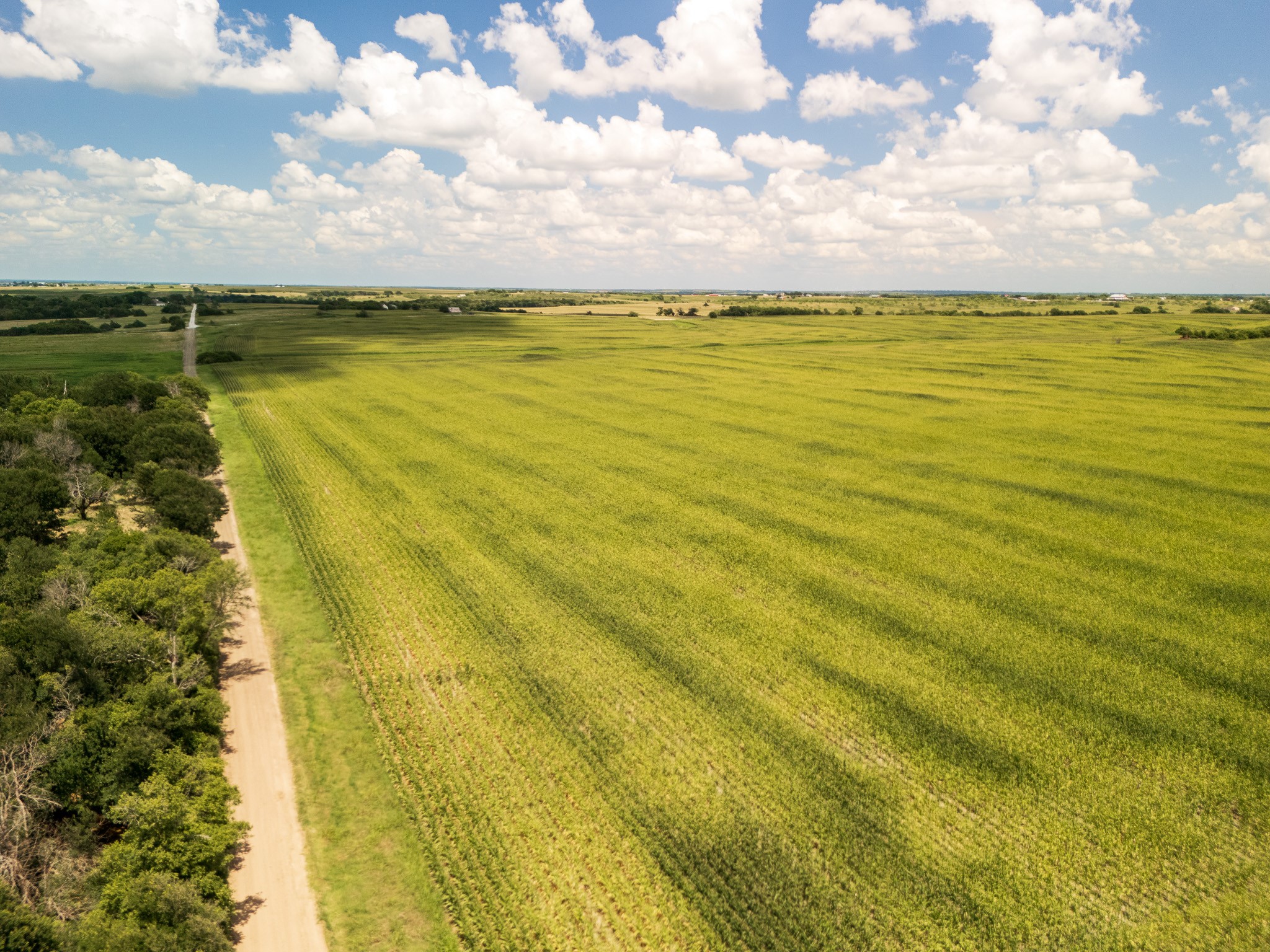11 Acres County Rd 3150