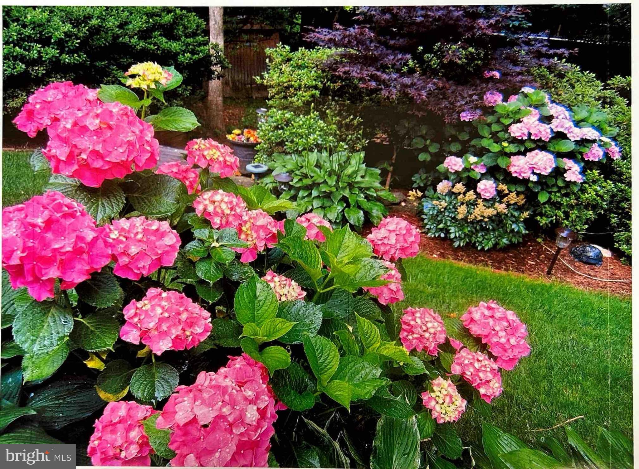 9121 DONNA DEAN DRIVE