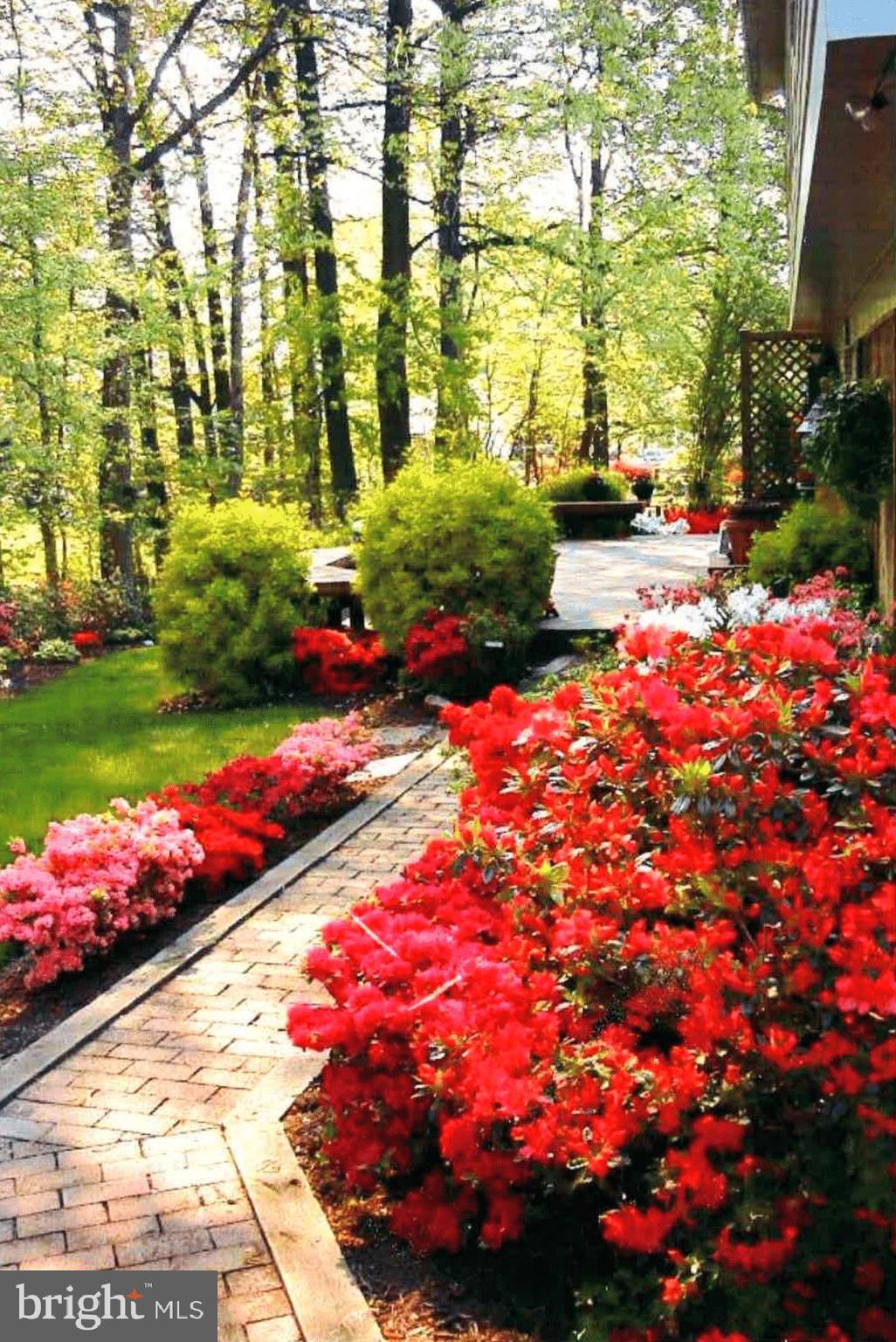 9121 DONNA DEAN DRIVE