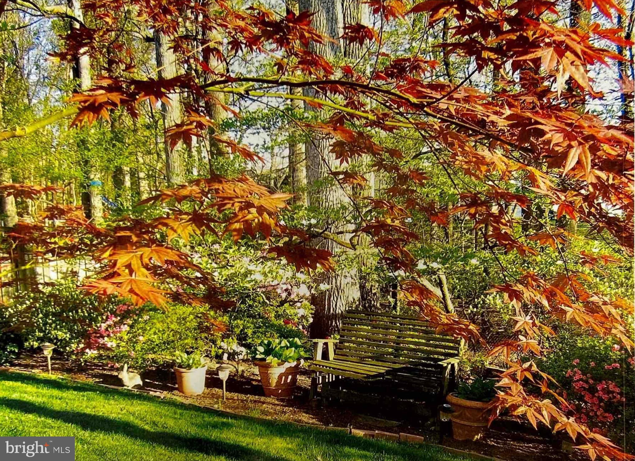 9121 DONNA DEAN DRIVE