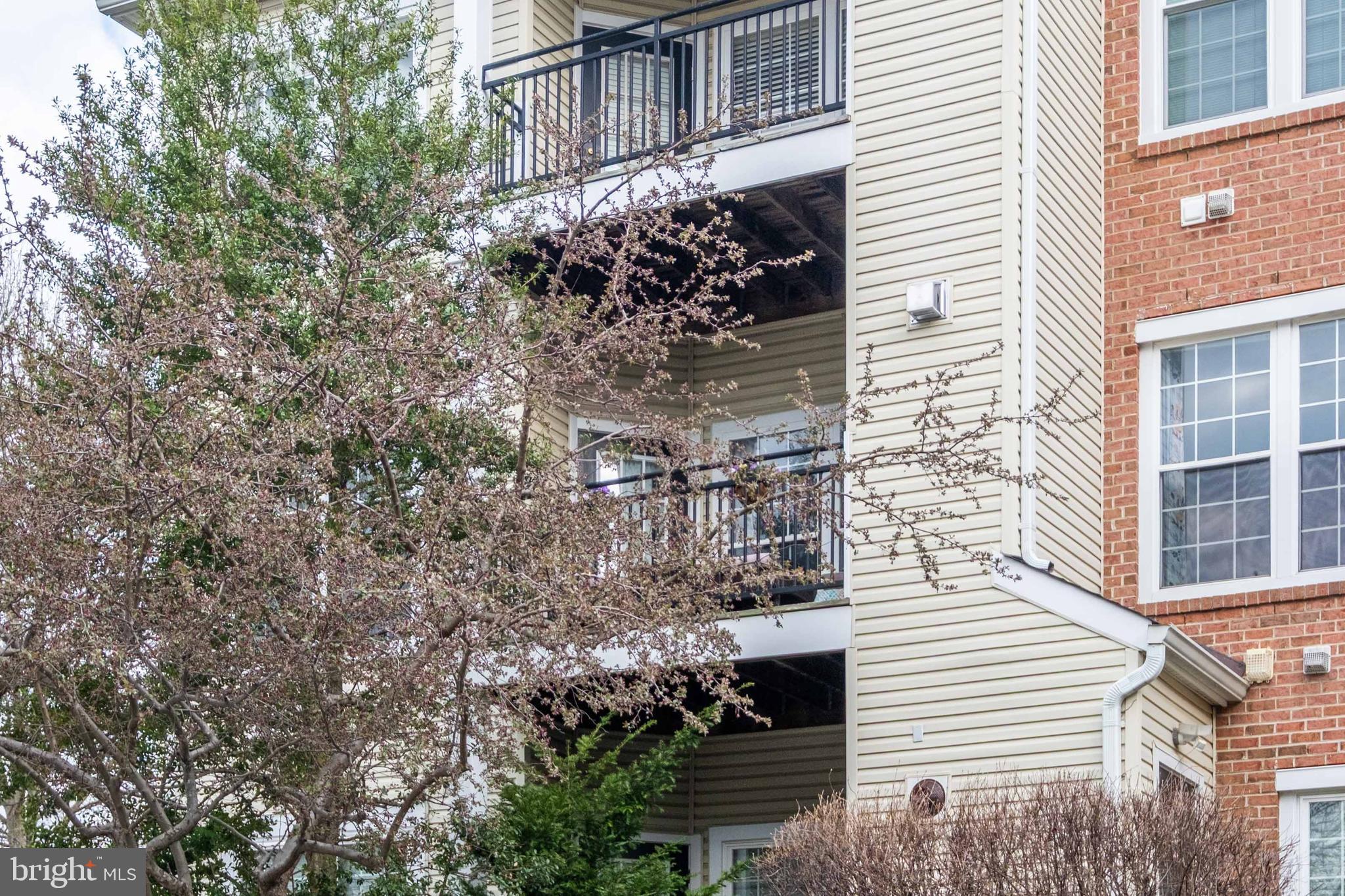 4132 FOUNTAINSIDE LANE 204