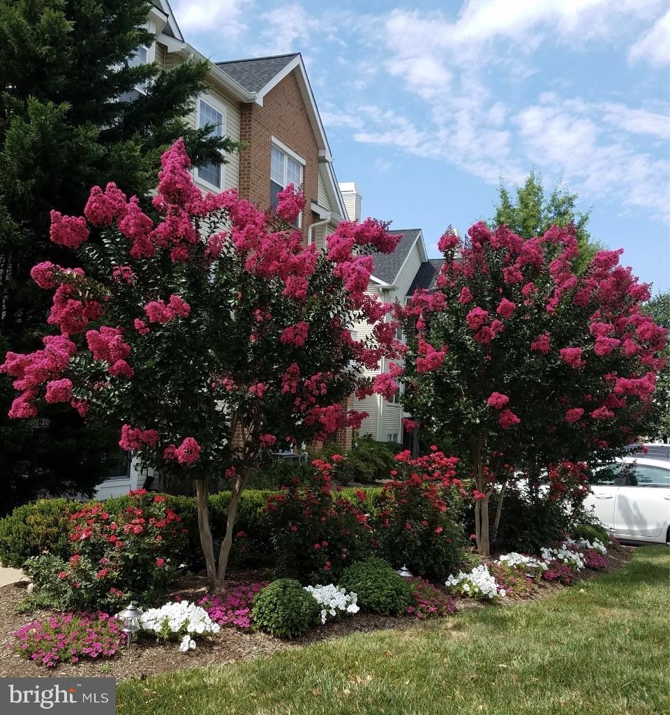 4132 FOUNTAINSIDE LANE 204