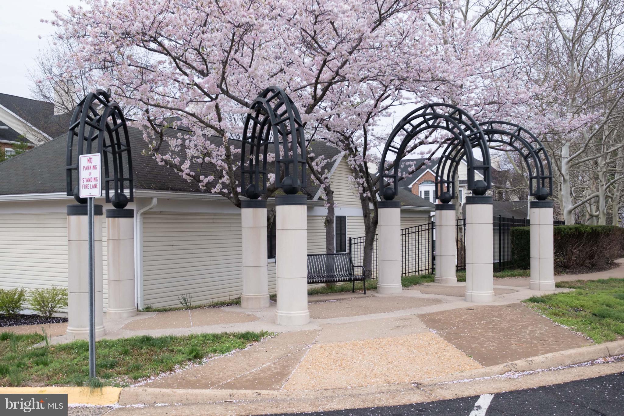 4132 FOUNTAINSIDE LANE 204