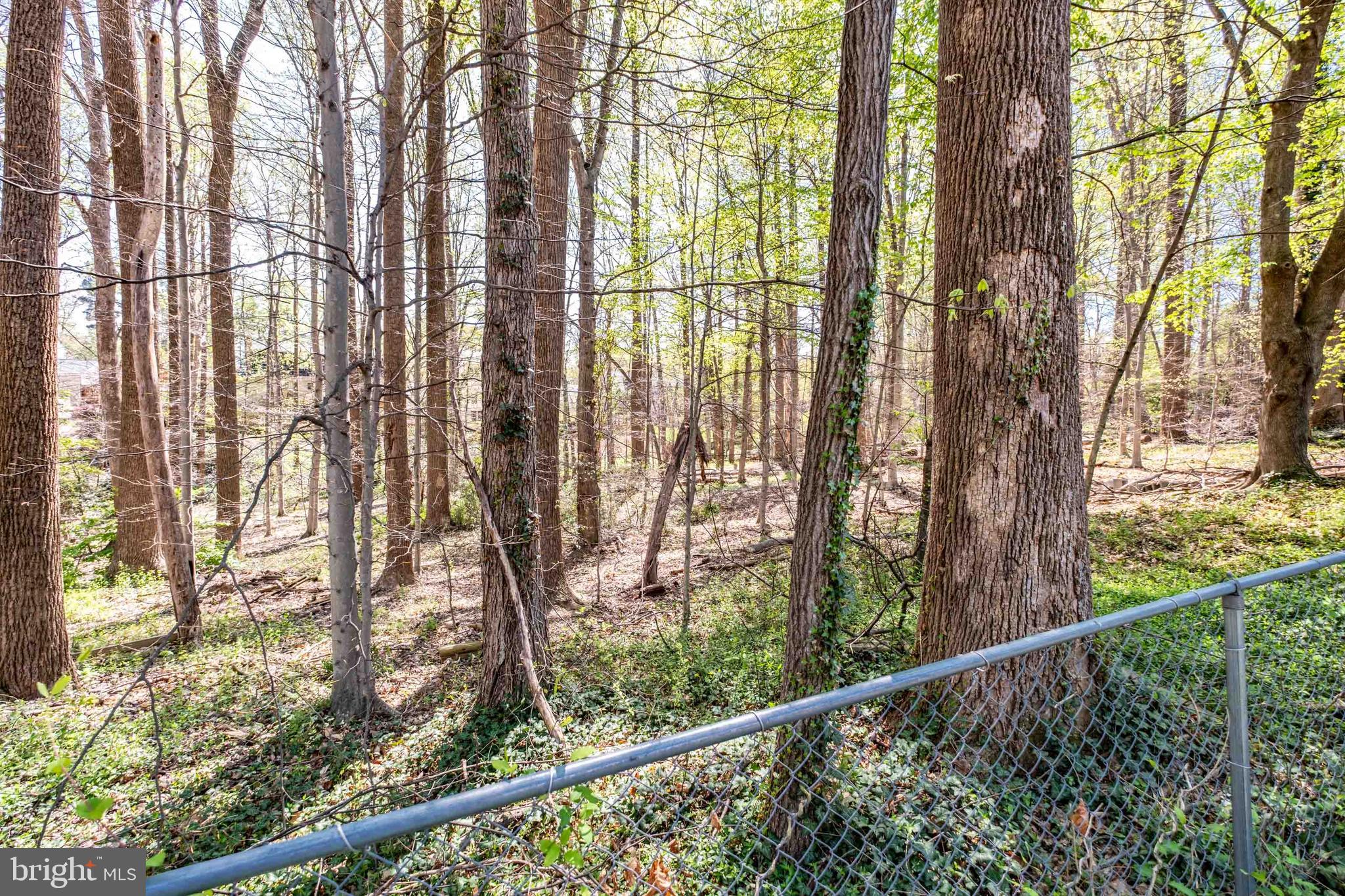 8709 POWDER HORN ROAD