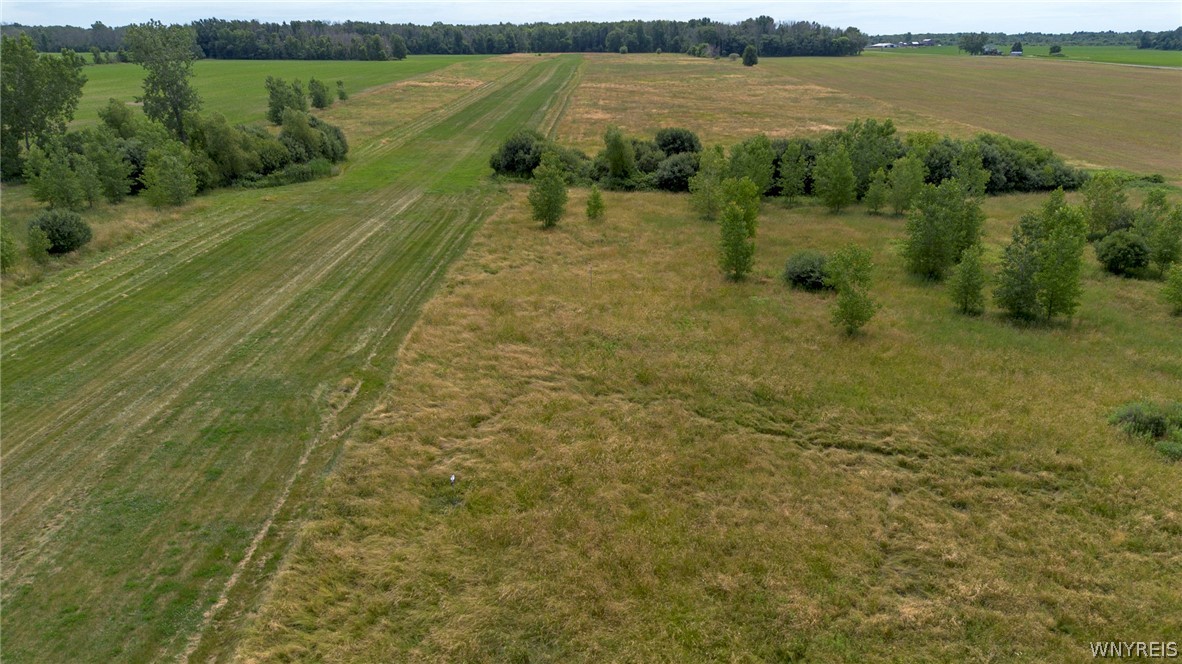 10954 Lakeshore Road