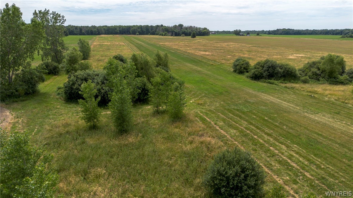 10954 Lakeshore Road