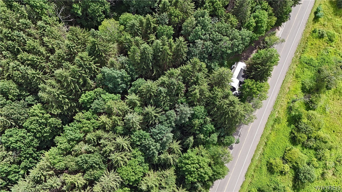 6912 Ellicottville Maples Road