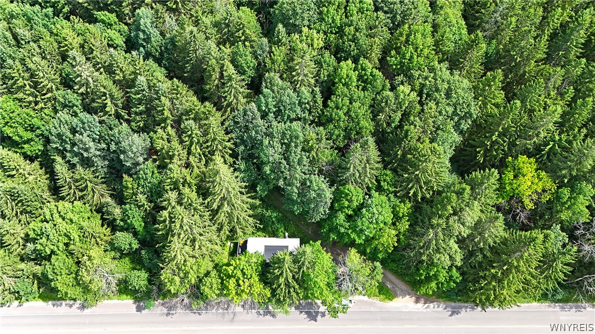 6912 Ellicottville Maples Road