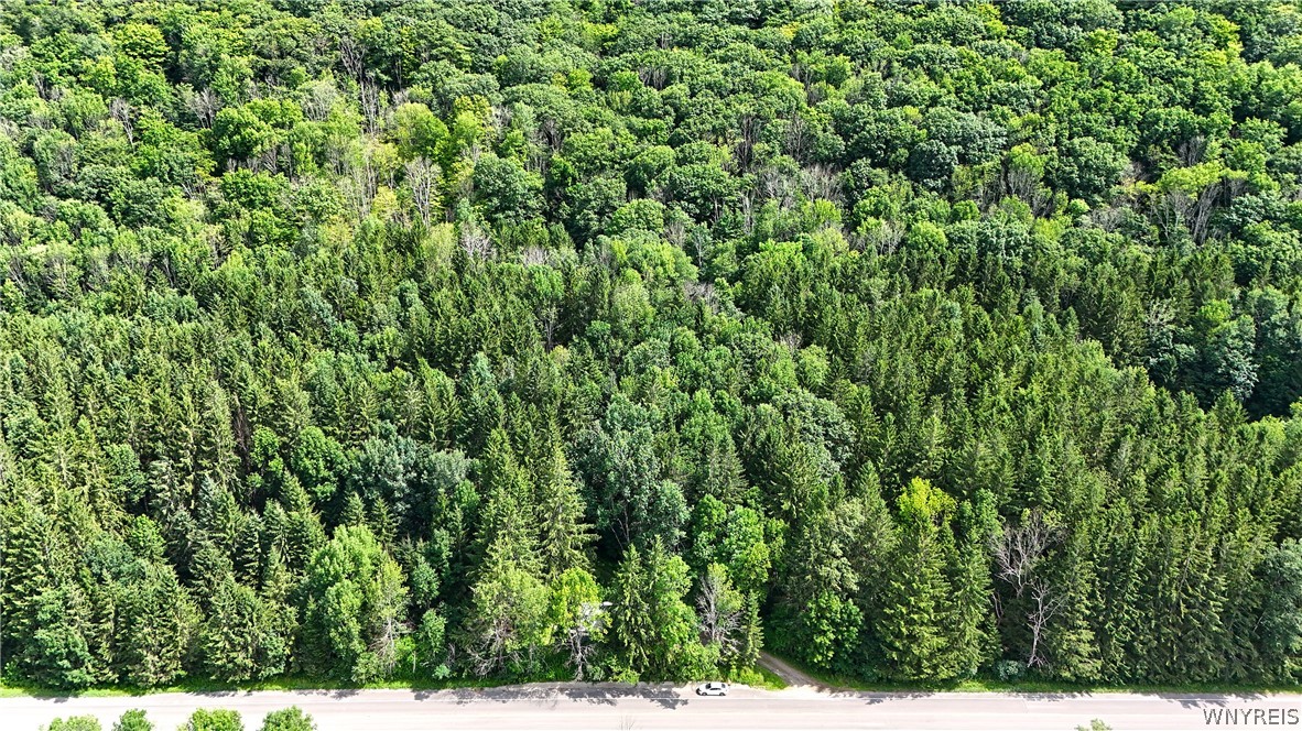 6912 Ellicottville Maples Road