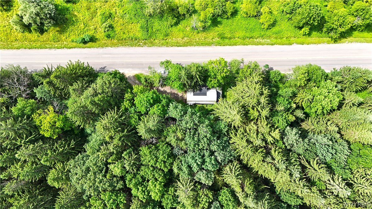 6912 Ellicottville Maples Road