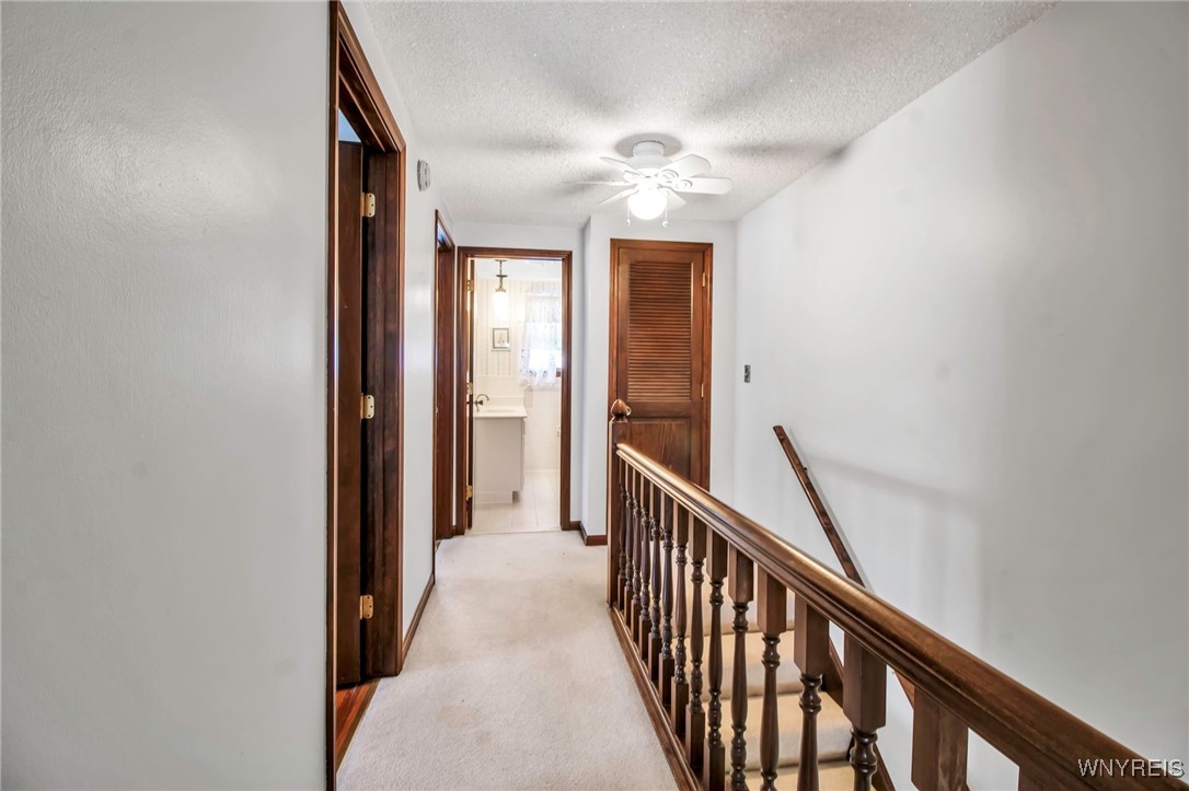 20 Greenfield Street