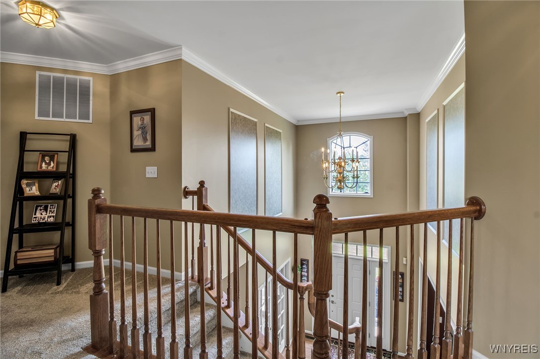 9100 Beech Meadow Court