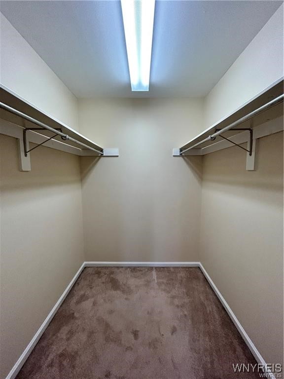 2755 North Forest Road C