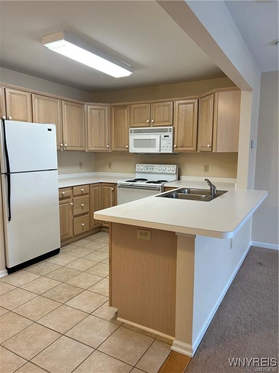 2755 North Forest Road C