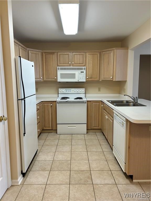 2755 North Forest Road C