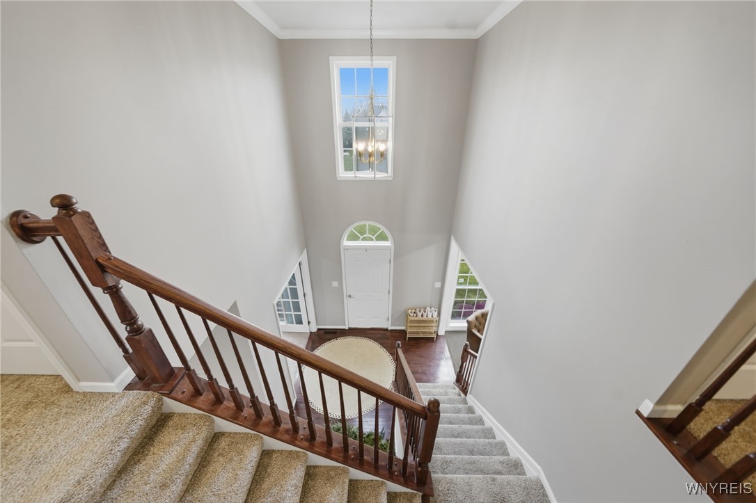 9031 Michael Douglas Drive