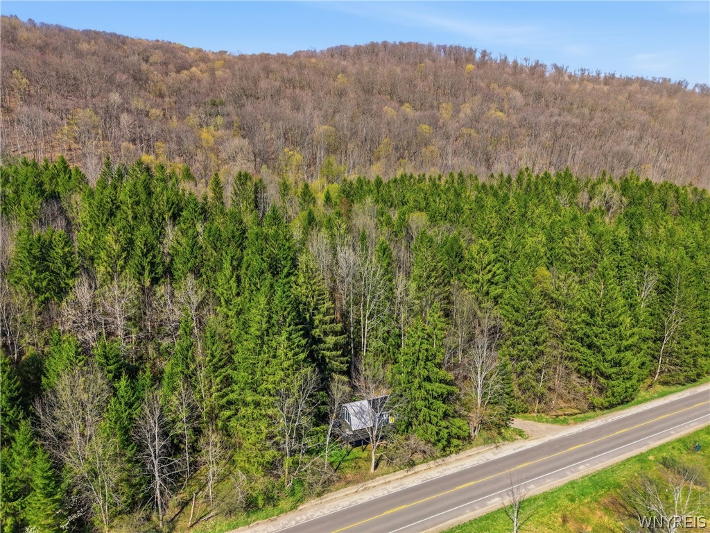 6912 Ellicottville Maples Road