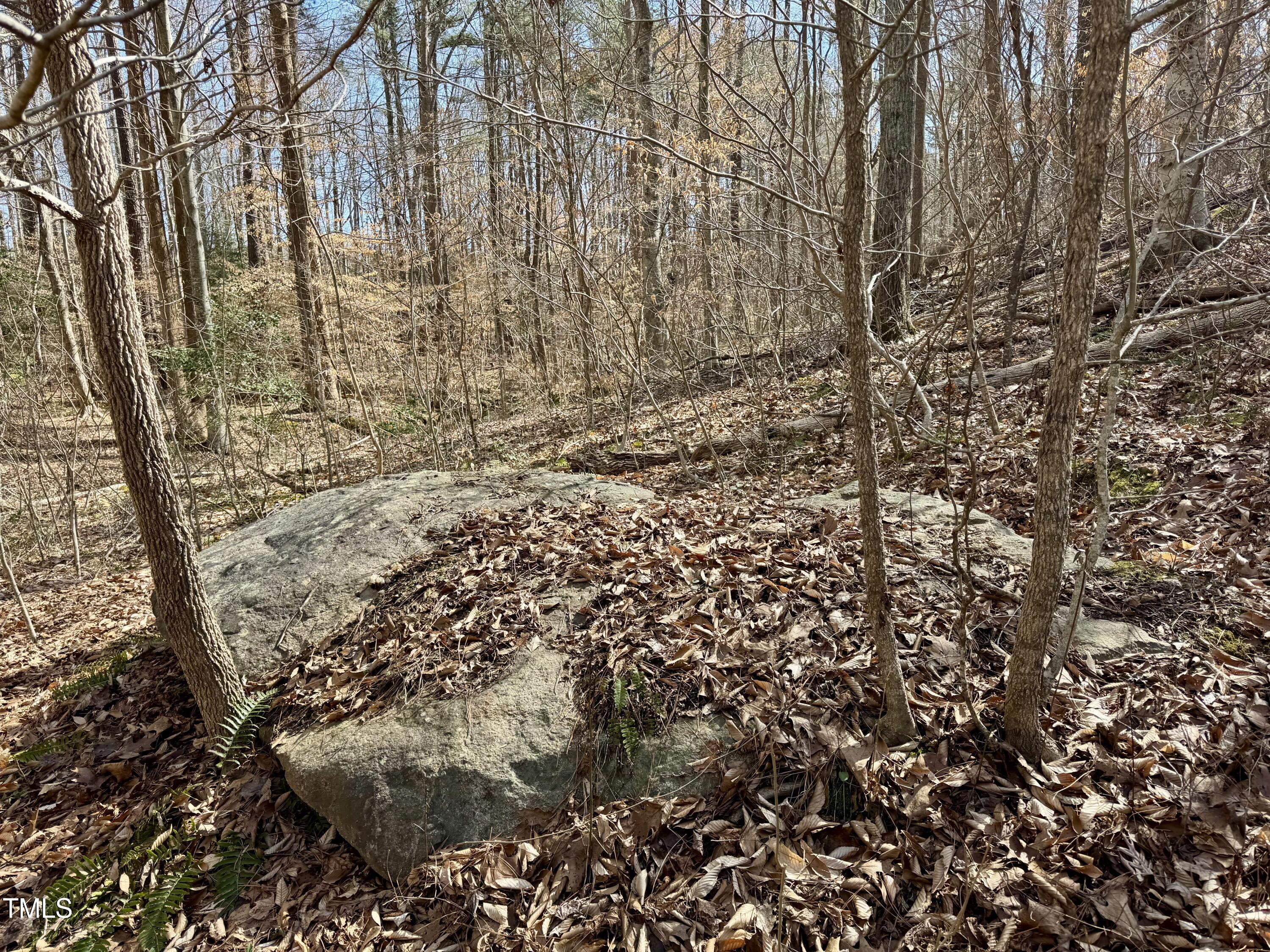 12420 Creedmoor Road