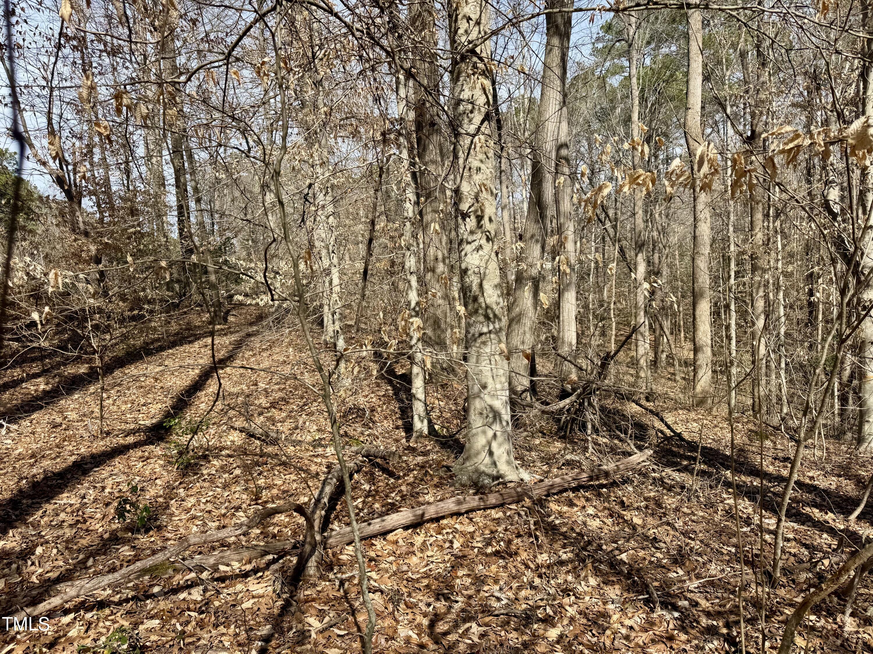 12420 Creedmoor Road