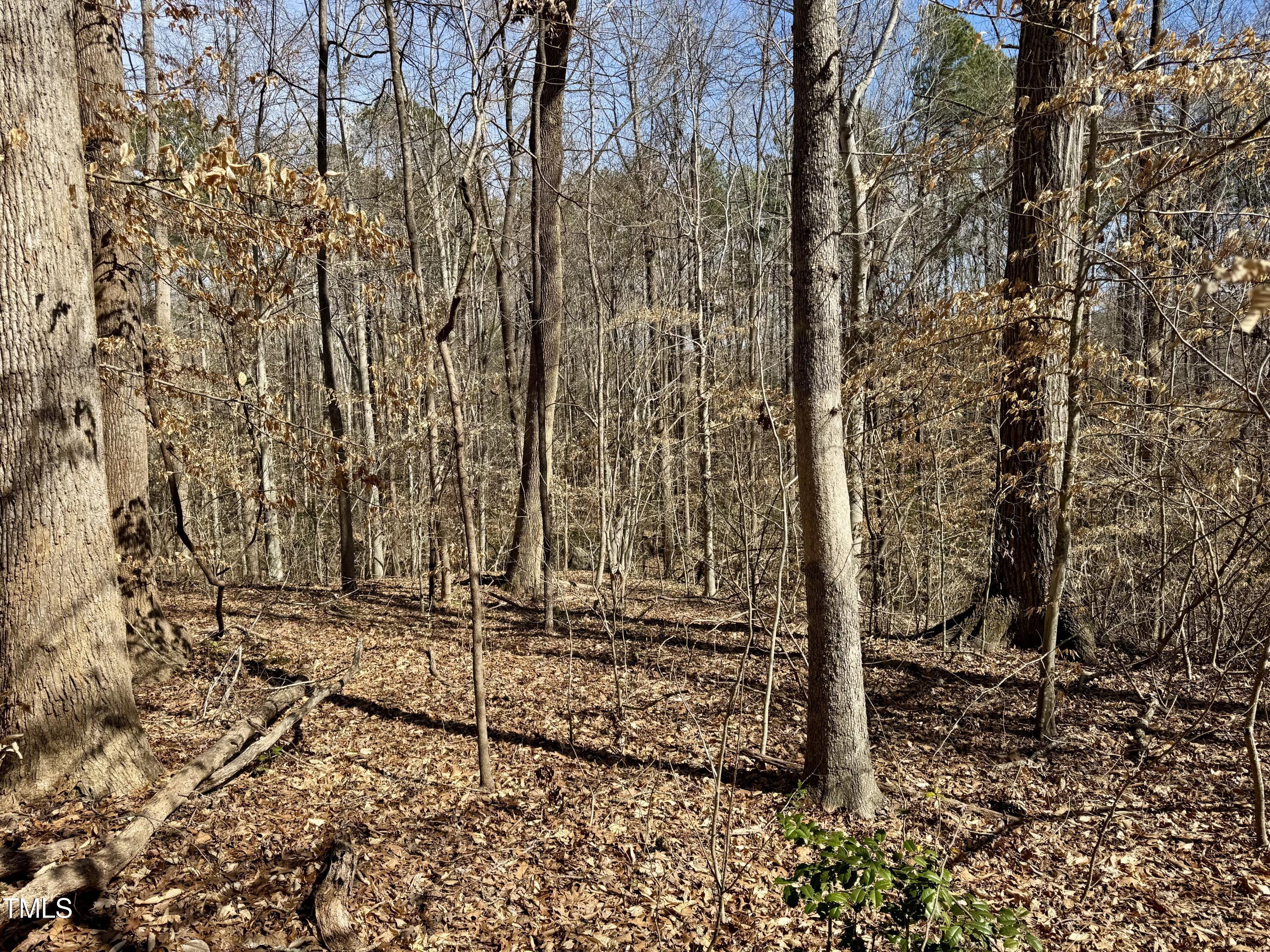 12420 Creedmoor Road