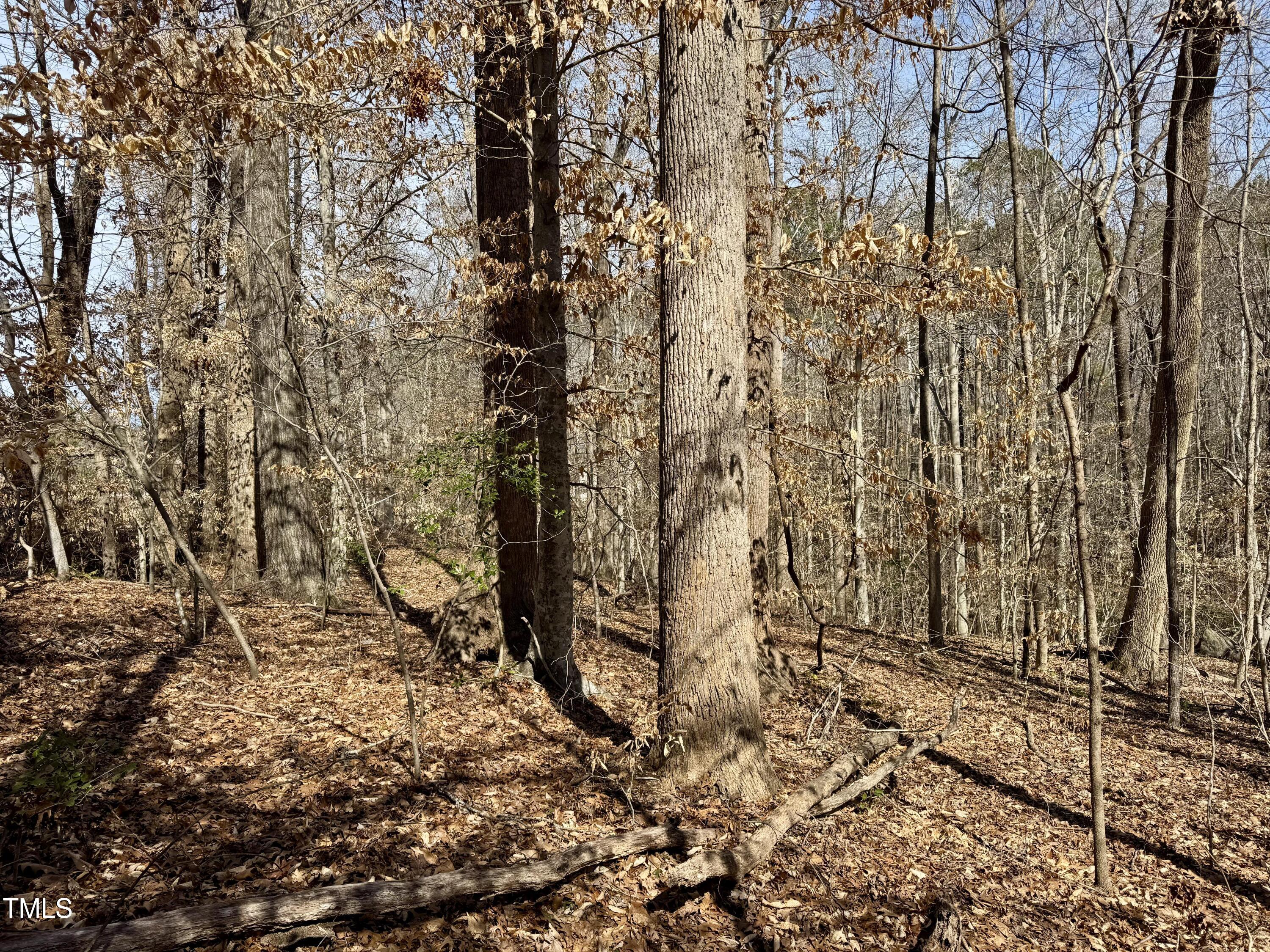 12420 Creedmoor Road