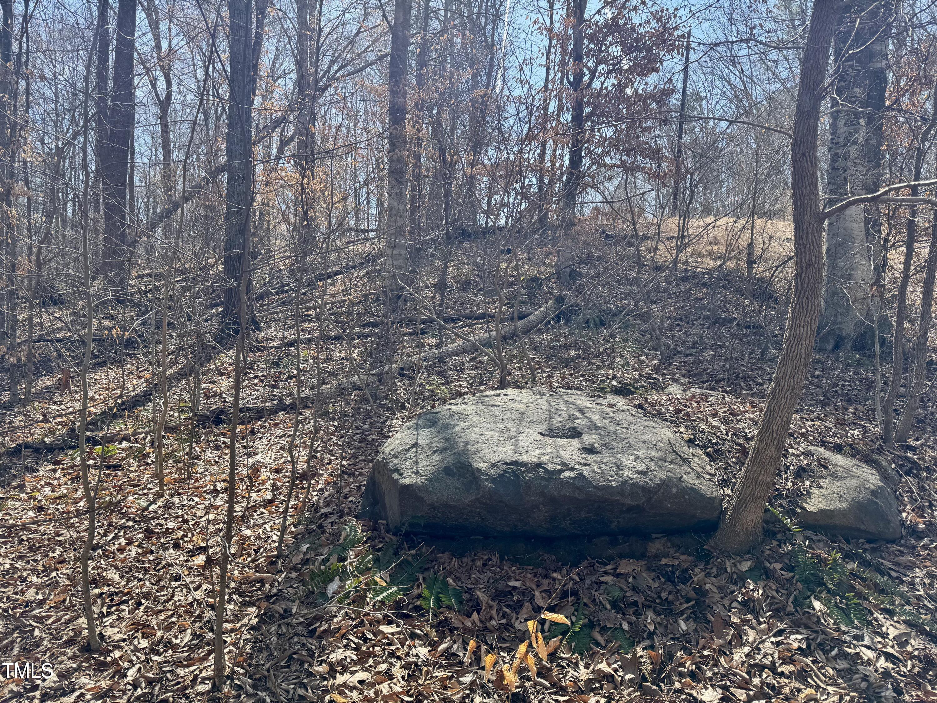 12420 Creedmoor Road