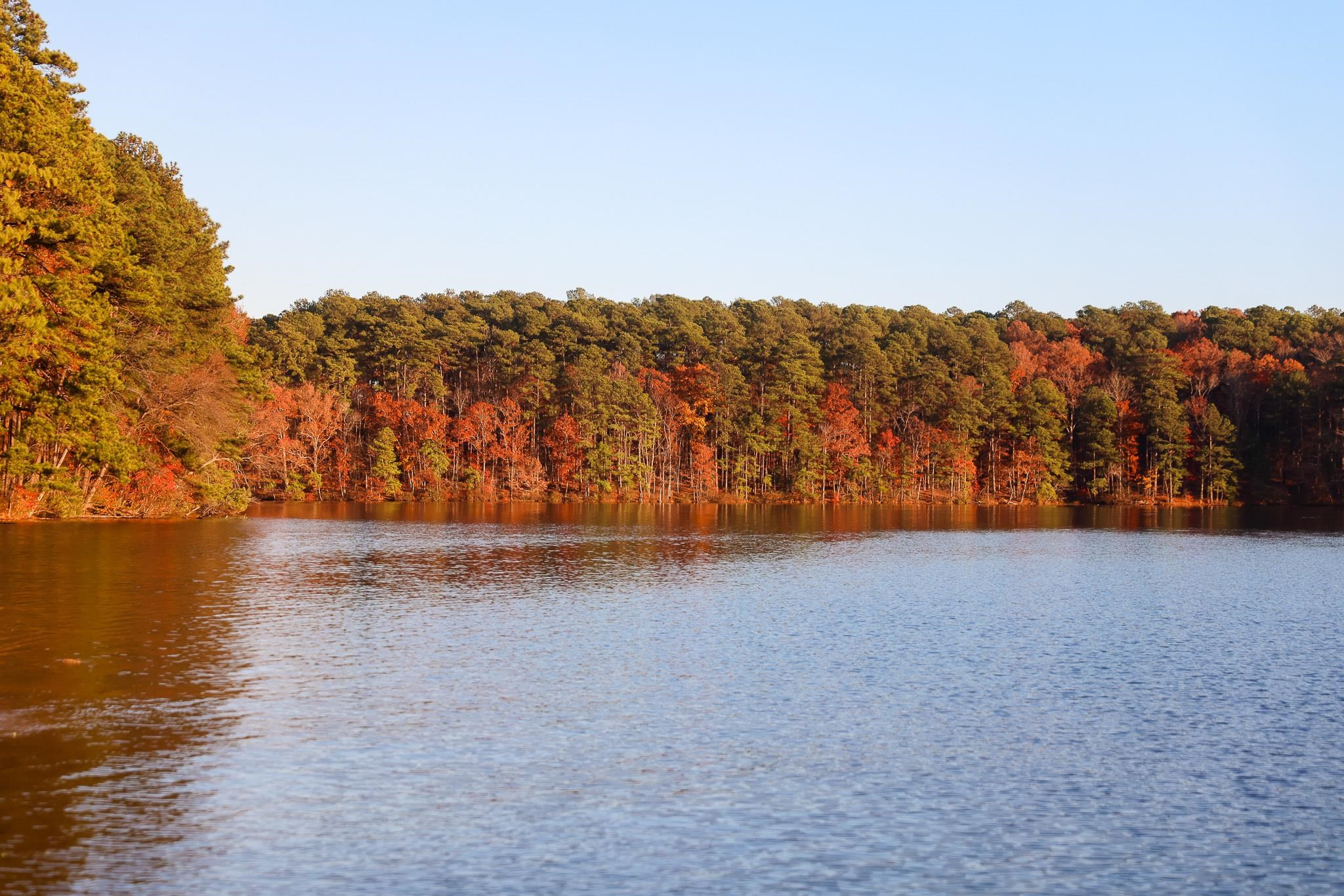 901 Athens Drive # 102