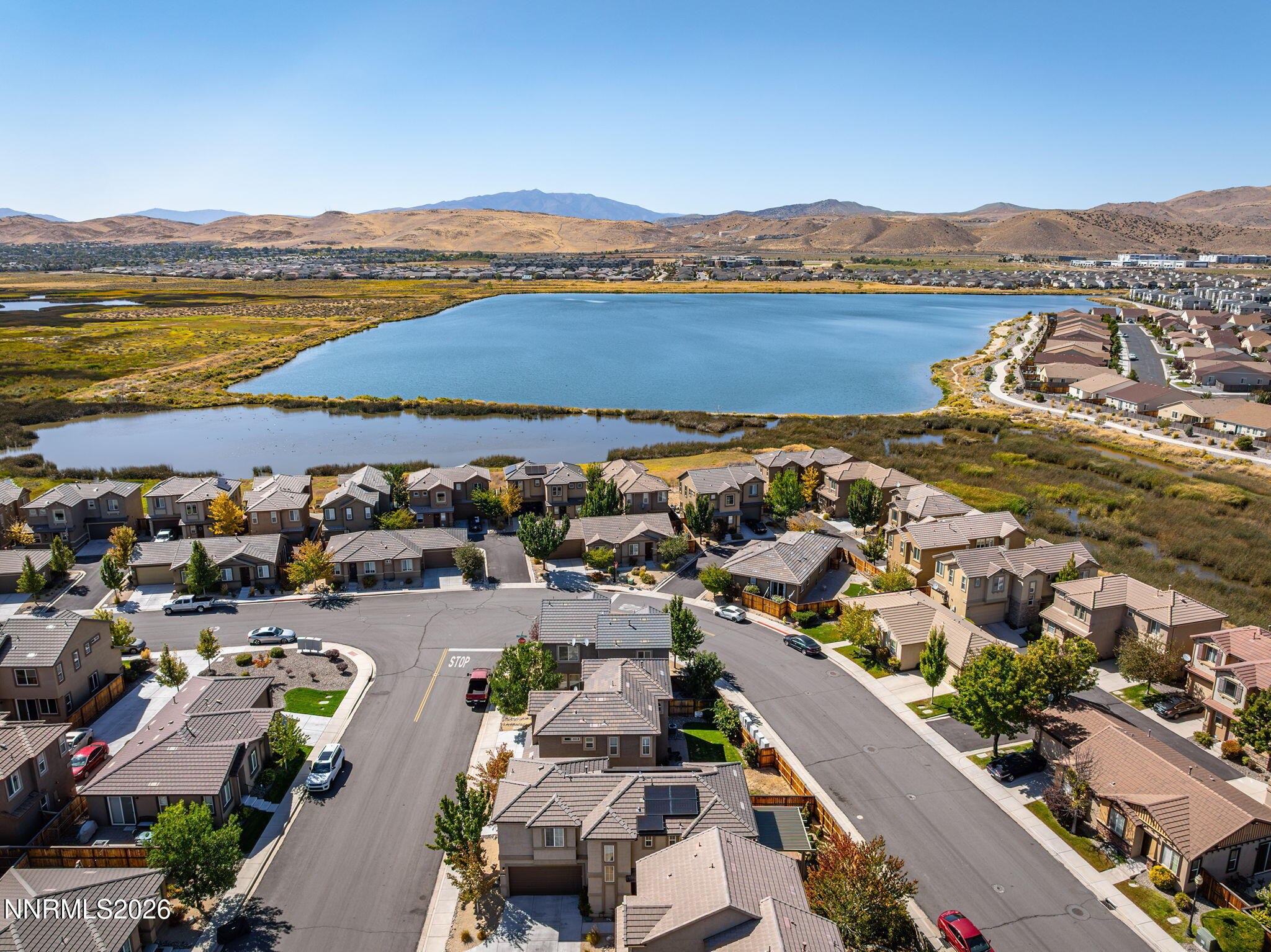 6650 Russian Thistle Drive