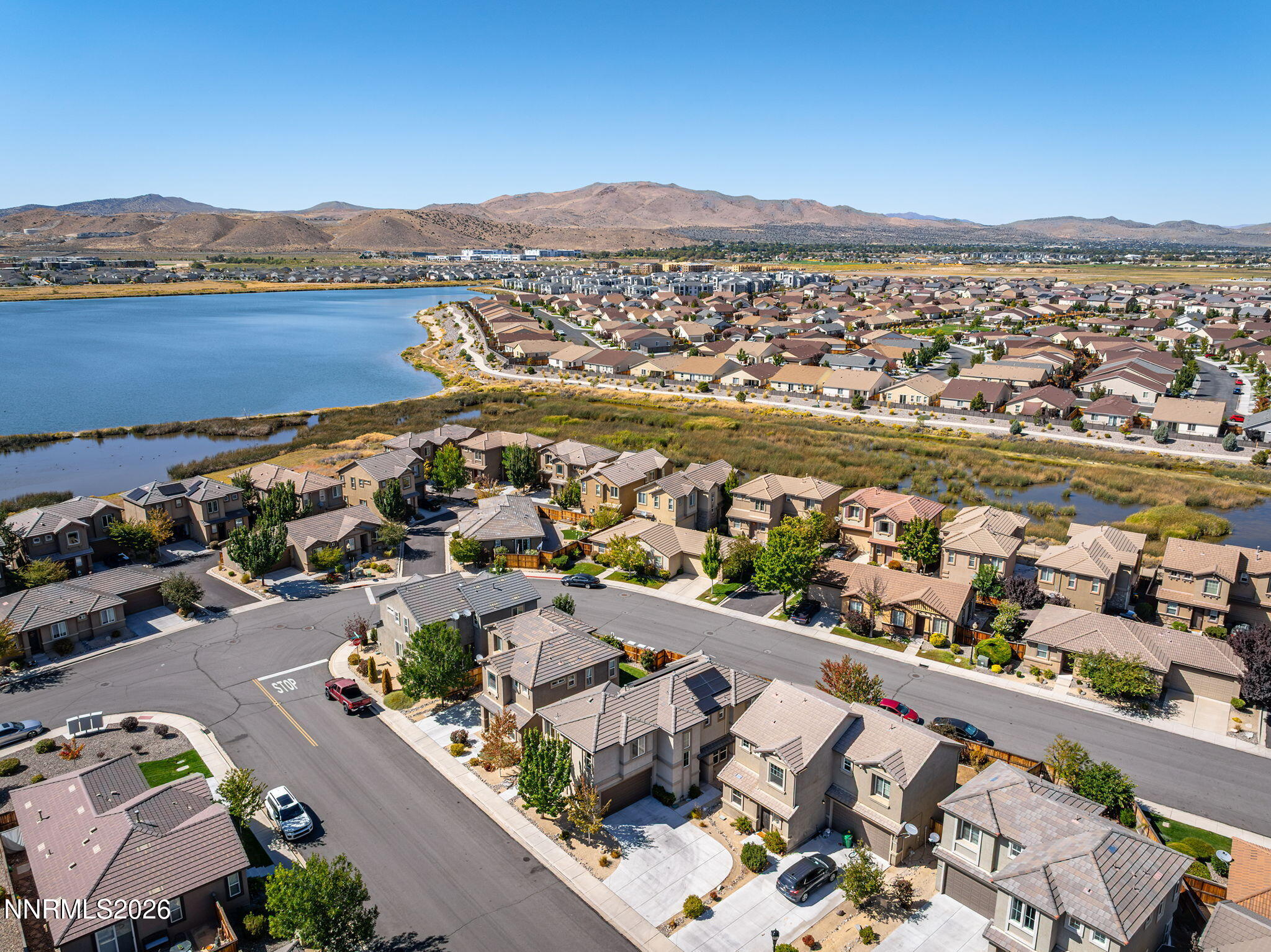 6650 Russian Thistle Drive
