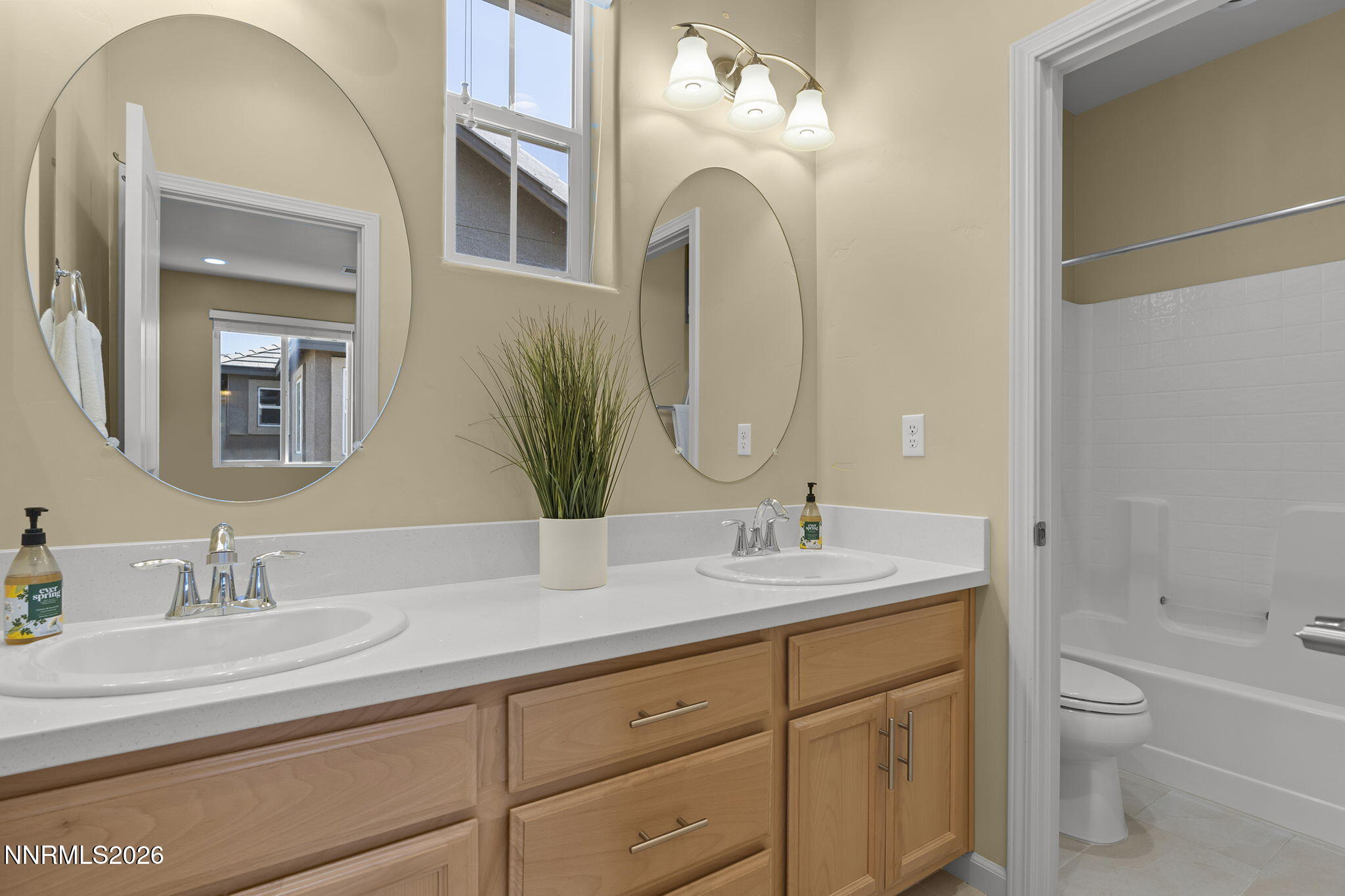 6650 Russian Thistle Drive