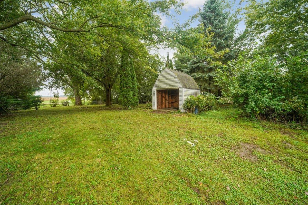 Grassy backyard with a small detached shed beneath mature trees.