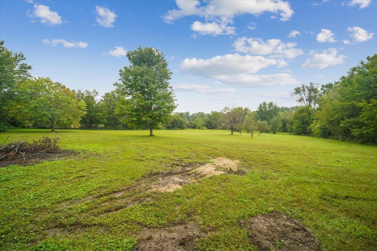 Open grassy lot with mature trees around the perimeter and tire tracks across the foreground.