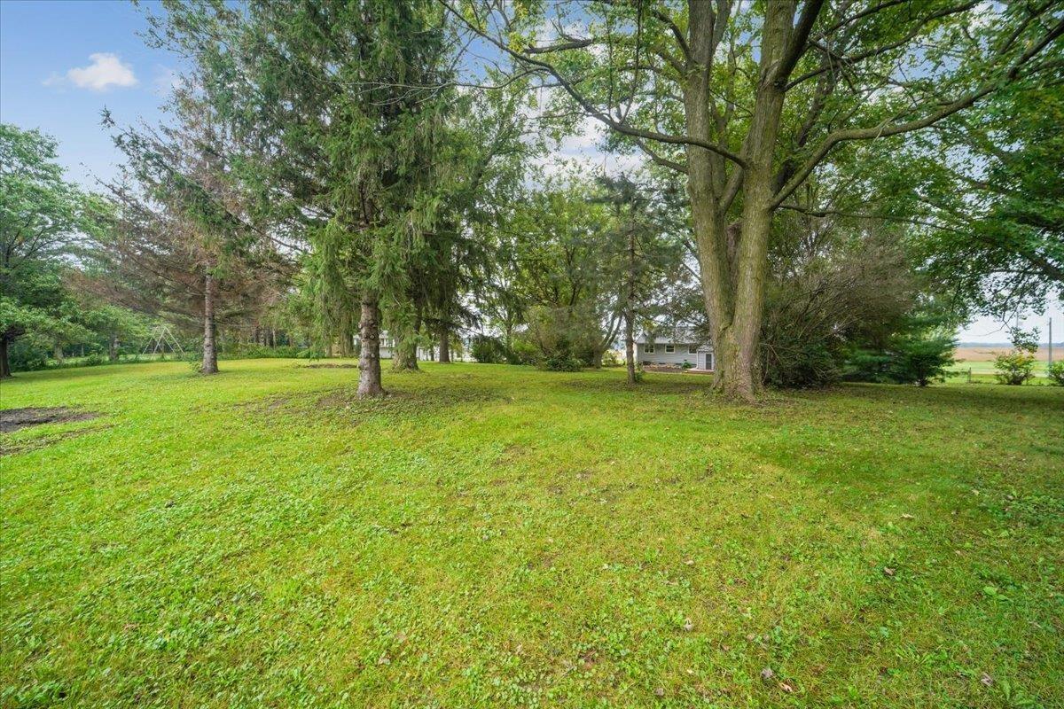 Spacious tree-shaded lawn with a house partially visible in the distance.