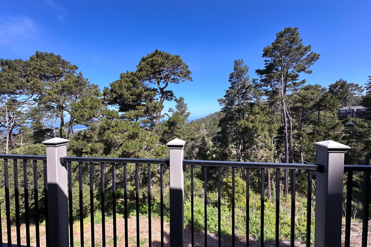 250 Forest Ridge Road 14