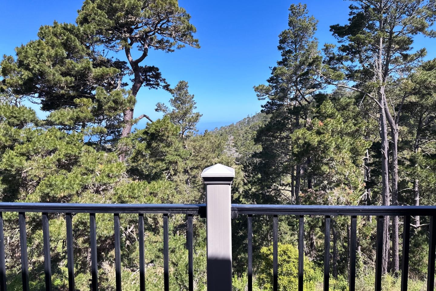 250 Forest Ridge Road 14