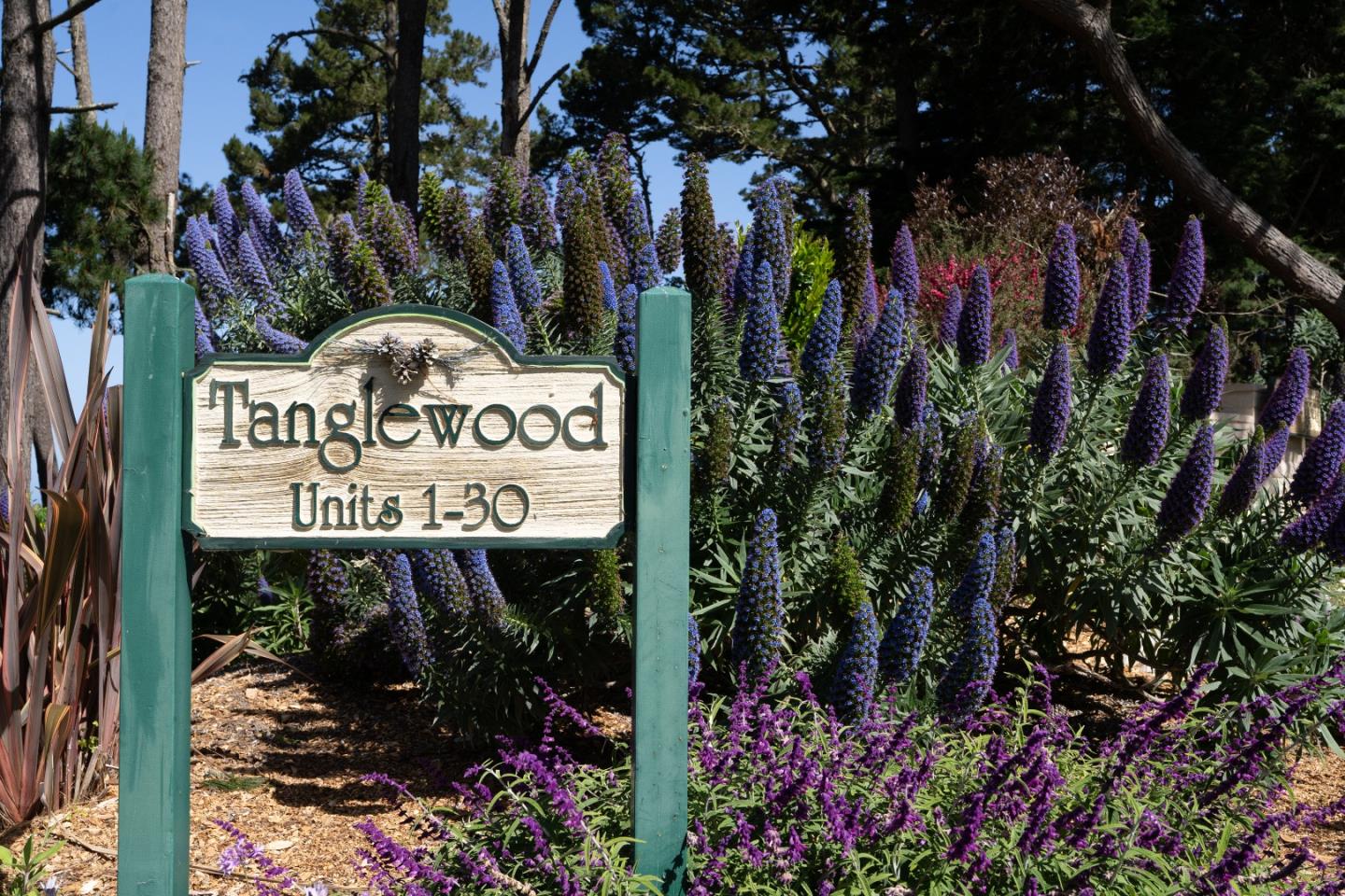 250 Forest Ridge Road 14
