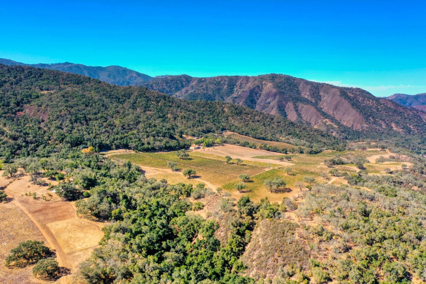 Aerial view of vineyard rows and dry fields in a valley surrounded by wooded mountains.