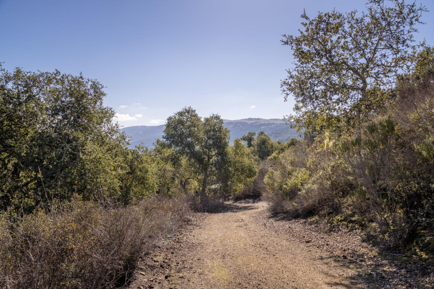 26735 Laureles Grade Road, CARMEL VALLEY, CA 93924