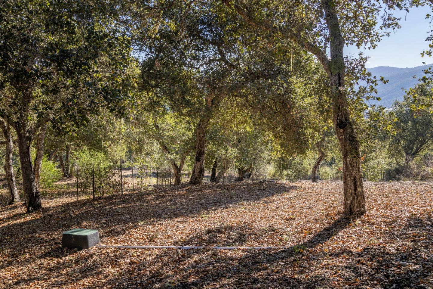26735 Laureles Grade Road, CARMEL VALLEY, CA 93924