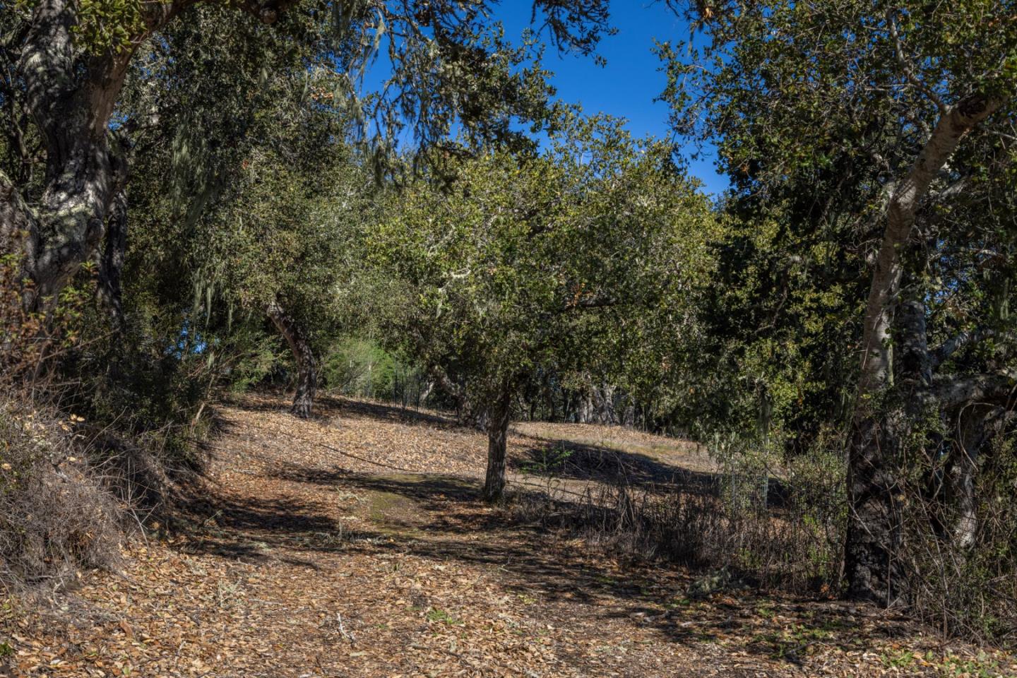 26735 Laureles Grade Road, CARMEL VALLEY, CA 93924