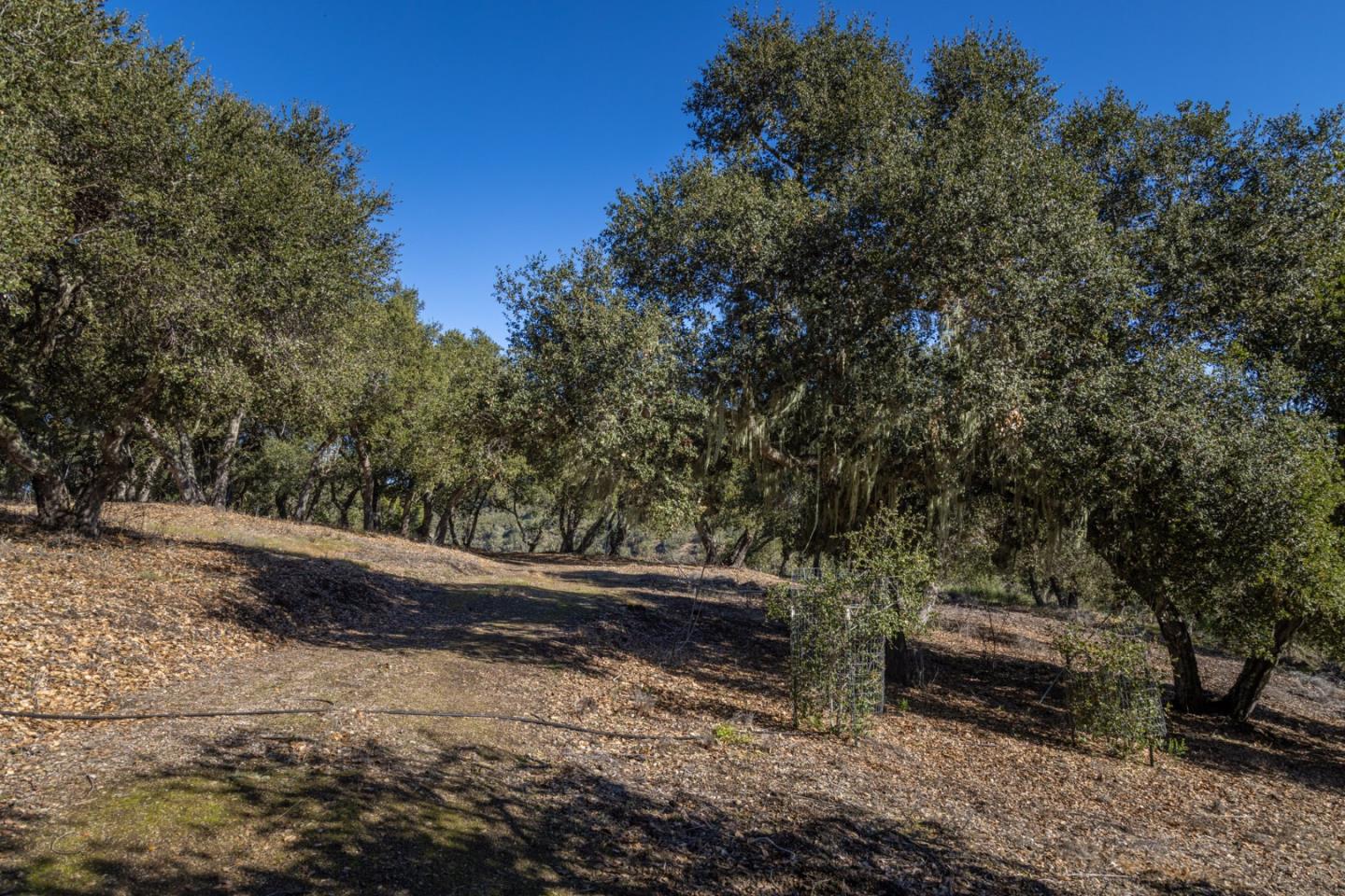 26735 Laureles Grade Road, CARMEL VALLEY, CA 93924