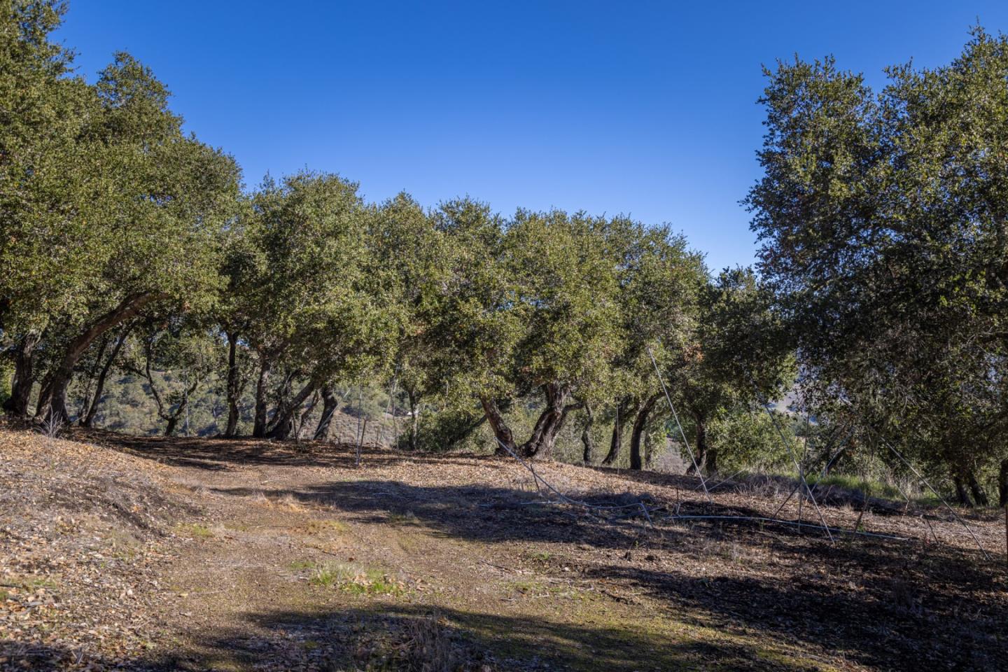 26735 Laureles Grade Road, CARMEL VALLEY, CA 93924