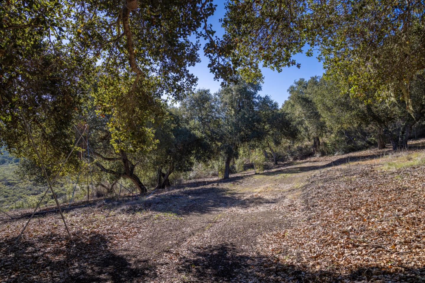 26735 Laureles Grade Road, CARMEL VALLEY, CA 93924