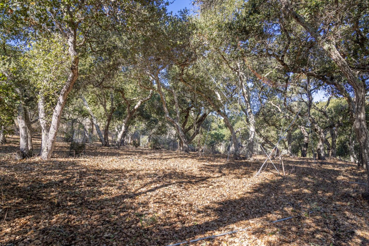 26735 Laureles Grade Road, CARMEL VALLEY, CA 93924