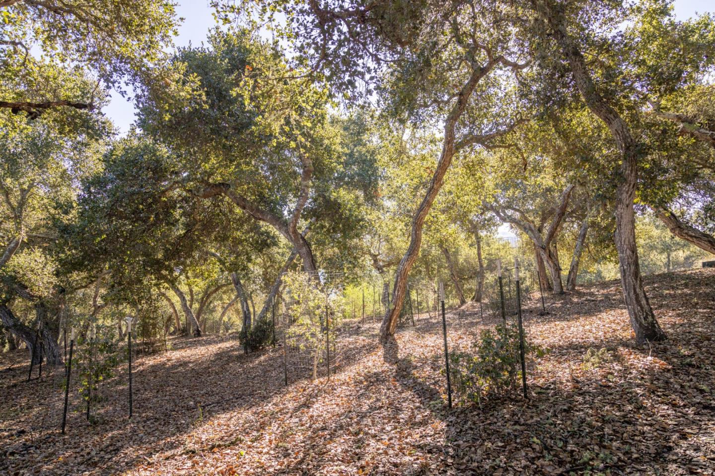 26735 Laureles Grade Road, CARMEL VALLEY, CA 93924
