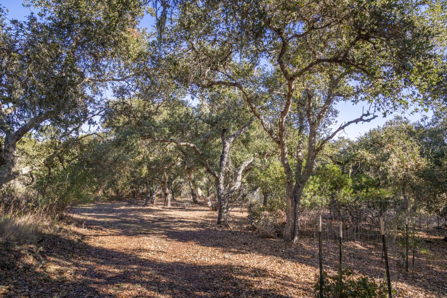 26735 Laureles Grade Road, CARMEL VALLEY, CA 93924