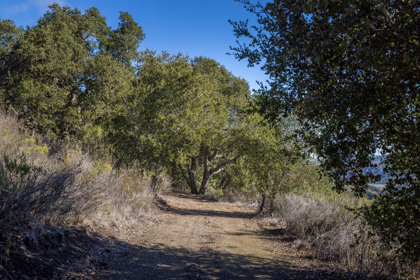 26735 Laureles Grade Road, CARMEL VALLEY, CA 93924
