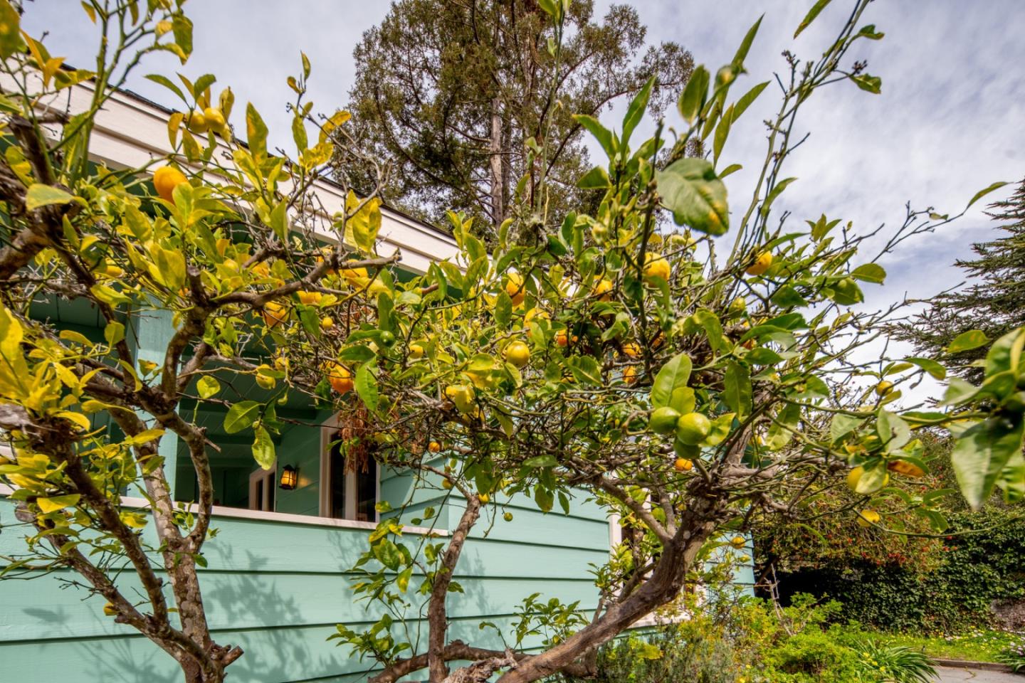 43 Twin Oaks Drive