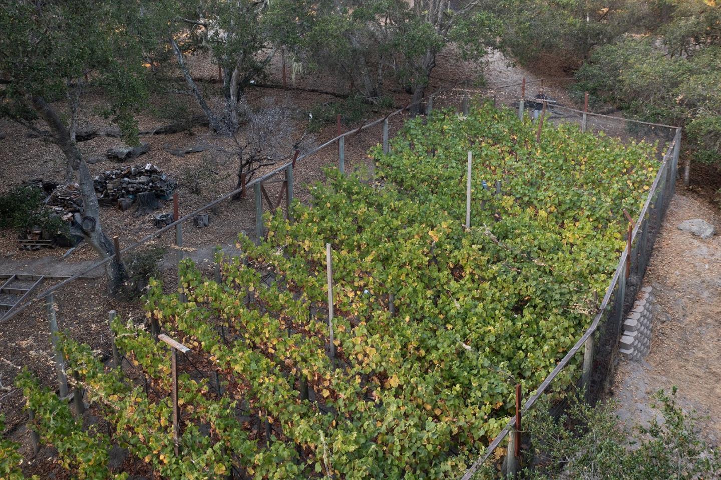 25440 Boots Road, MONTEREY, CA 93940