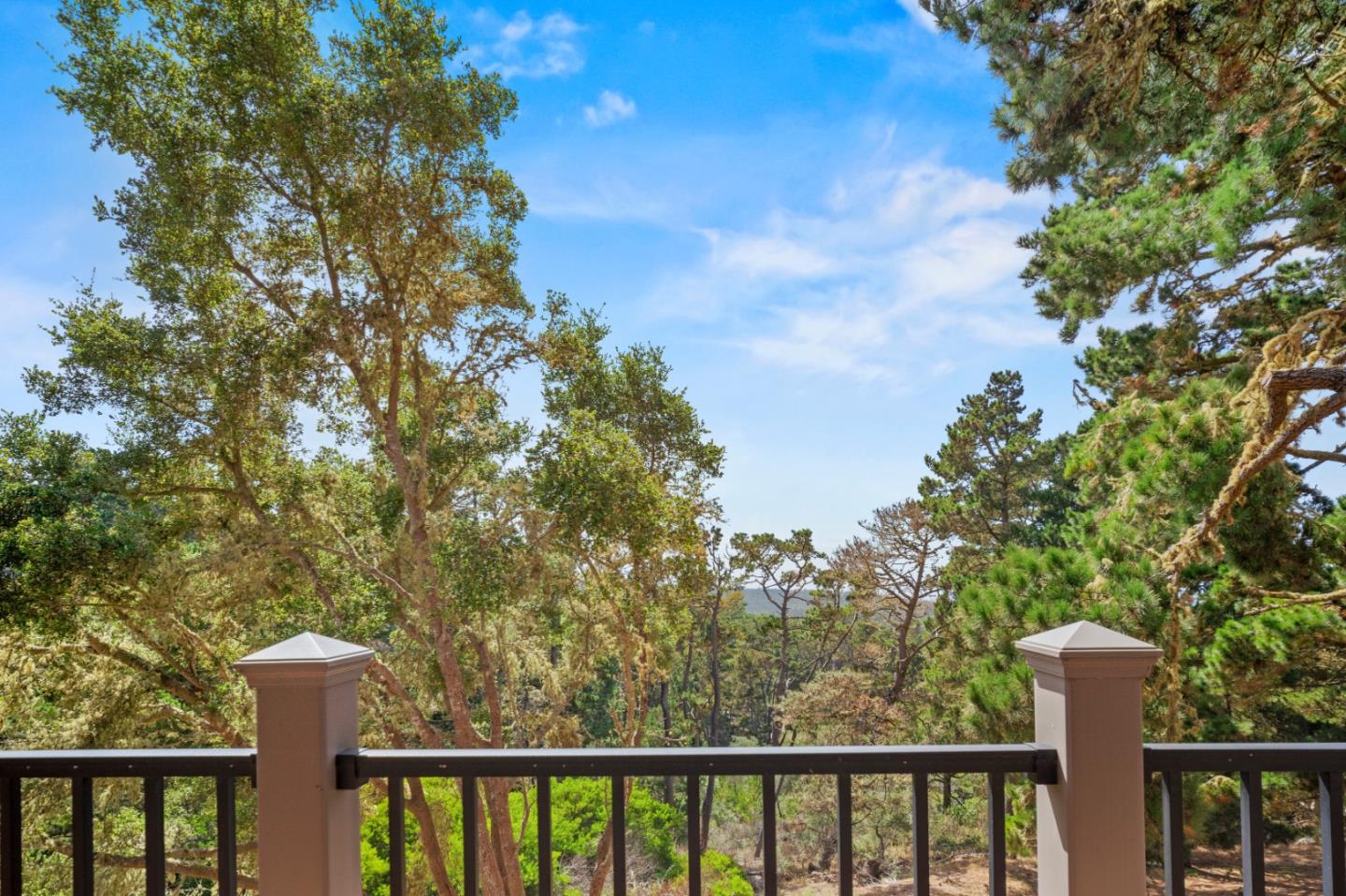 250 Forest Ridge RD 45